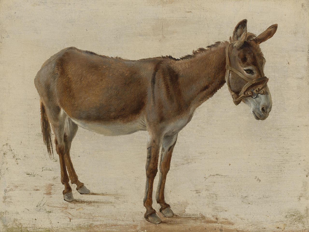 A Donkey Painting Jacques Laurent Agasse Oil Painting Reproduction